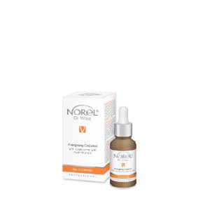 Coquetel Energizante Com Coenzima Q10 E Vitaminas 30ml – Norel